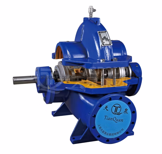 Horizontal Double Suction Split Casing Centrifugal Water Pump Tianquan DN80