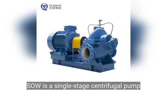 Horizontal Double Suction Split Casing Centrifugal Water Pump Tianquan DN80