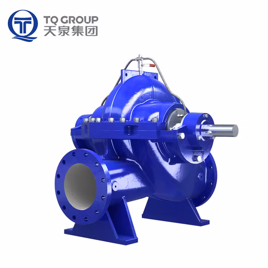 Horizontal Double Suction Split Casing Centrifugal Water Pump Tianquan DN80